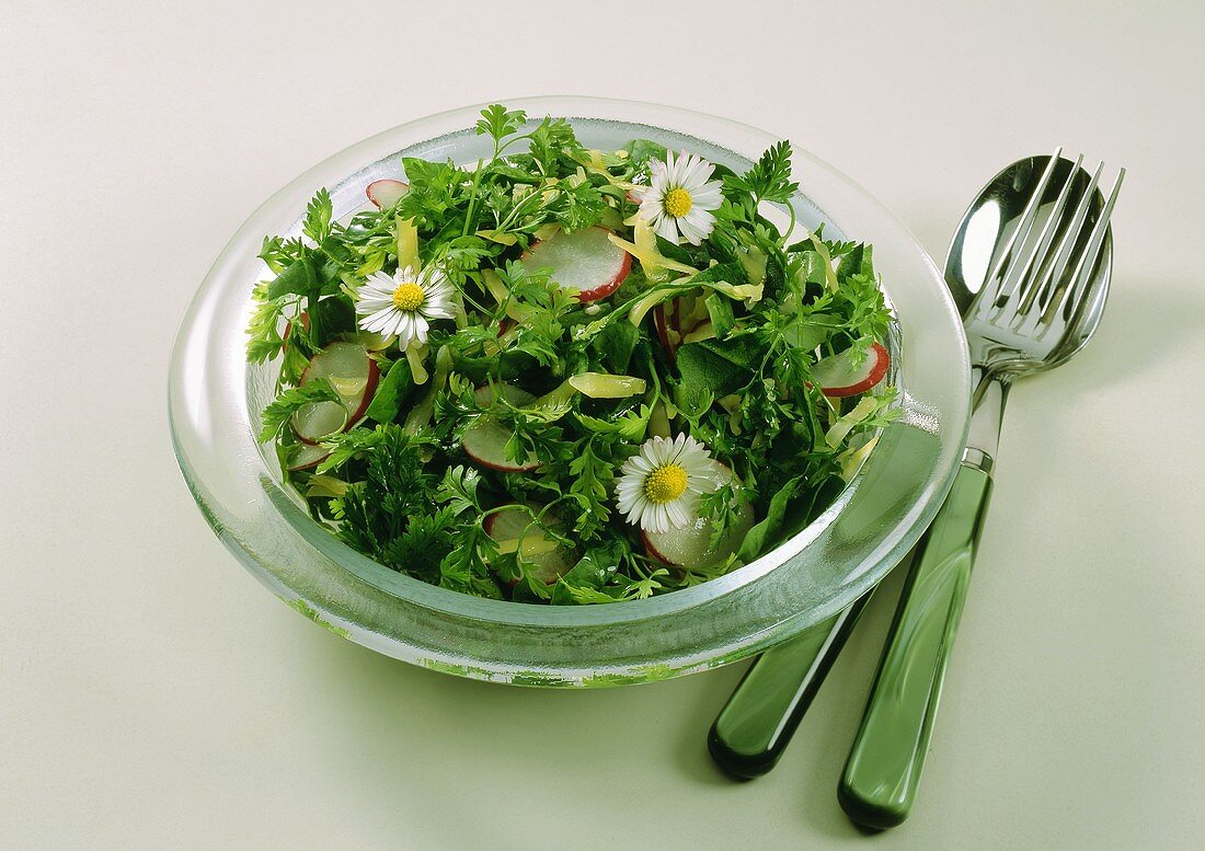 Spinat-Kerbel-Salat mit Radieschen & Gänseblümchen