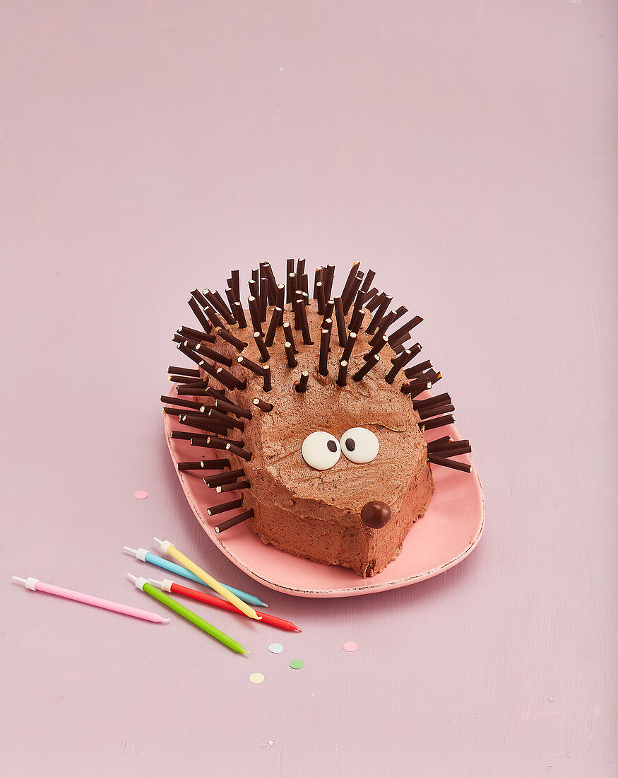 A chocolate hedgehog cake