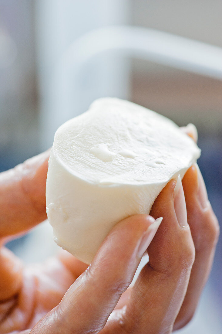 Mozzarella in production