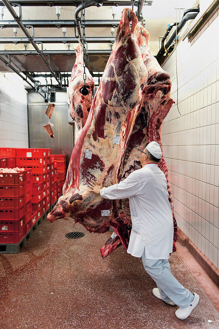 Rinderhälften am Haken in Großfleischerei