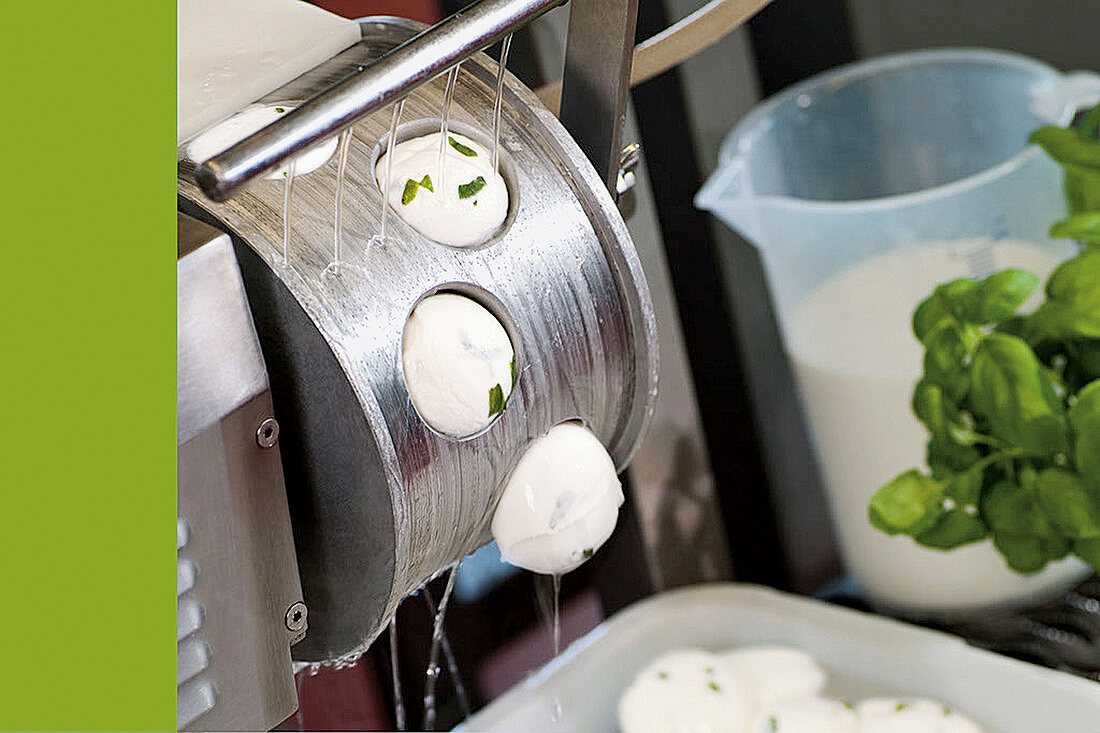 Mozzarella being made – shaping