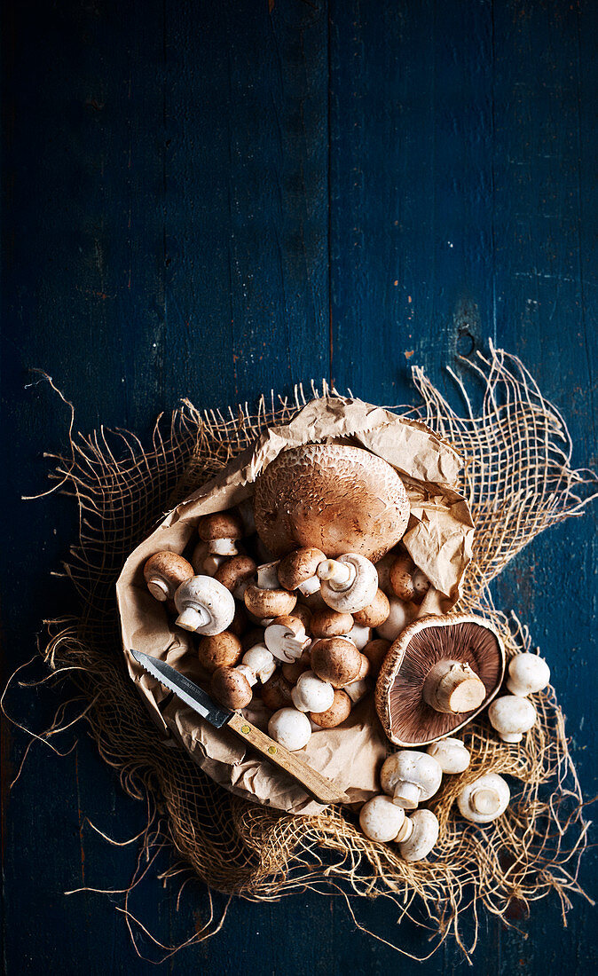 Various fresh mushrooms on a piece of paper