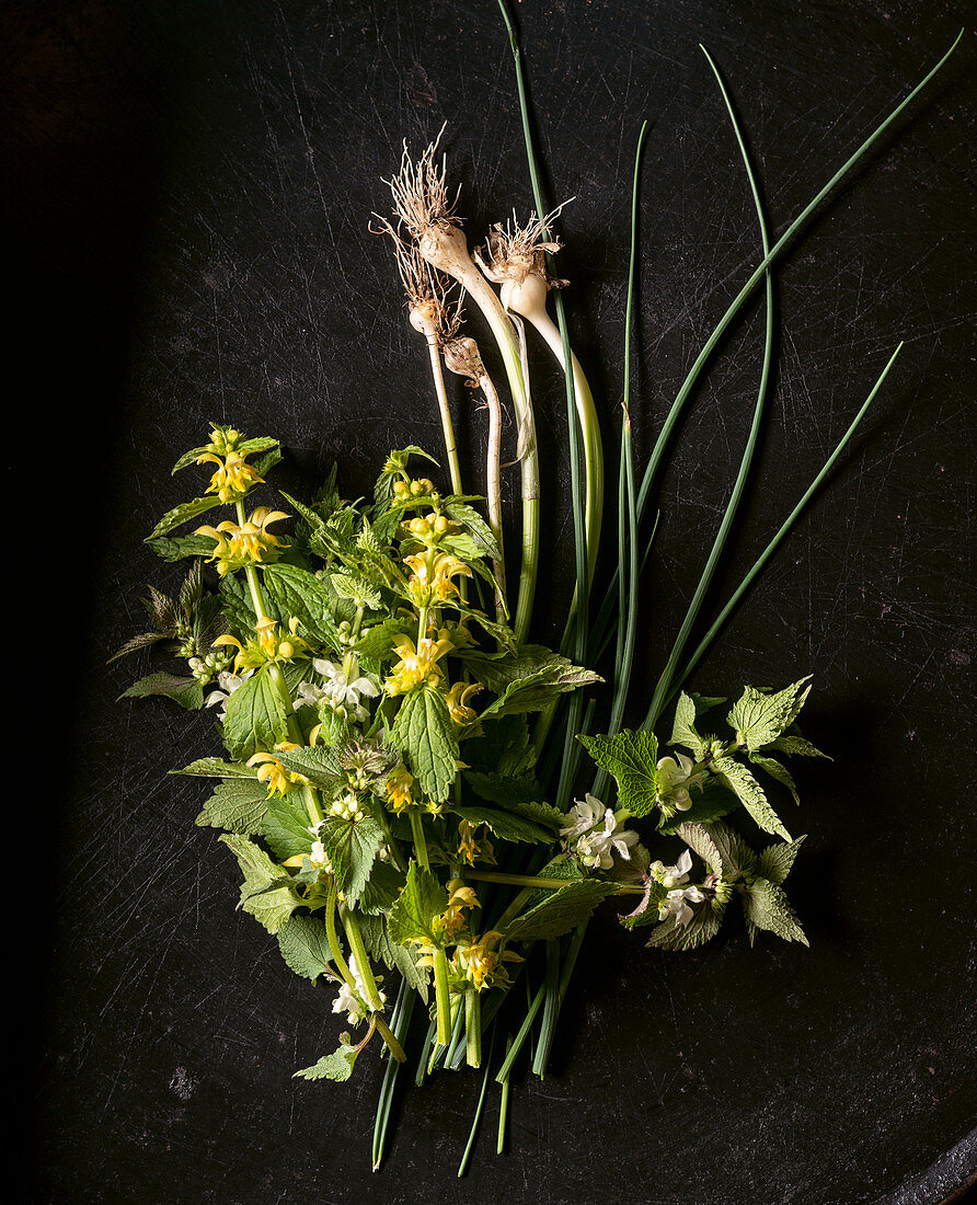 Yellow archangel and wild leek