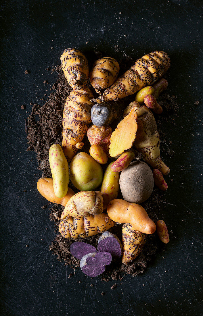 Nasturtium bulbs, olluco potatoes, brown olluco potatoes and purple potatoes