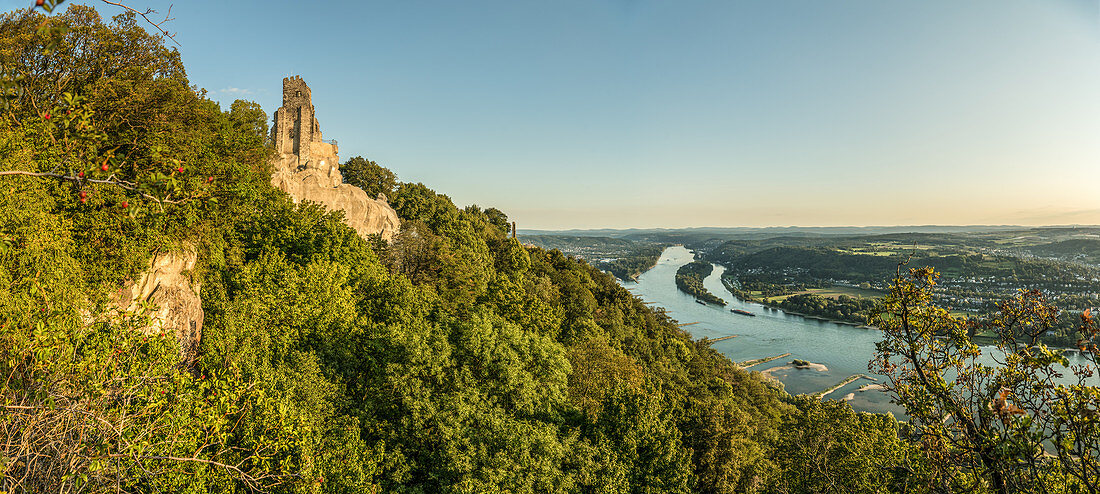 Burg Drachenfels, Blick auf die Insel Nonnenwerth, Rhein, Nordrhein-Westfalen, Deutschland