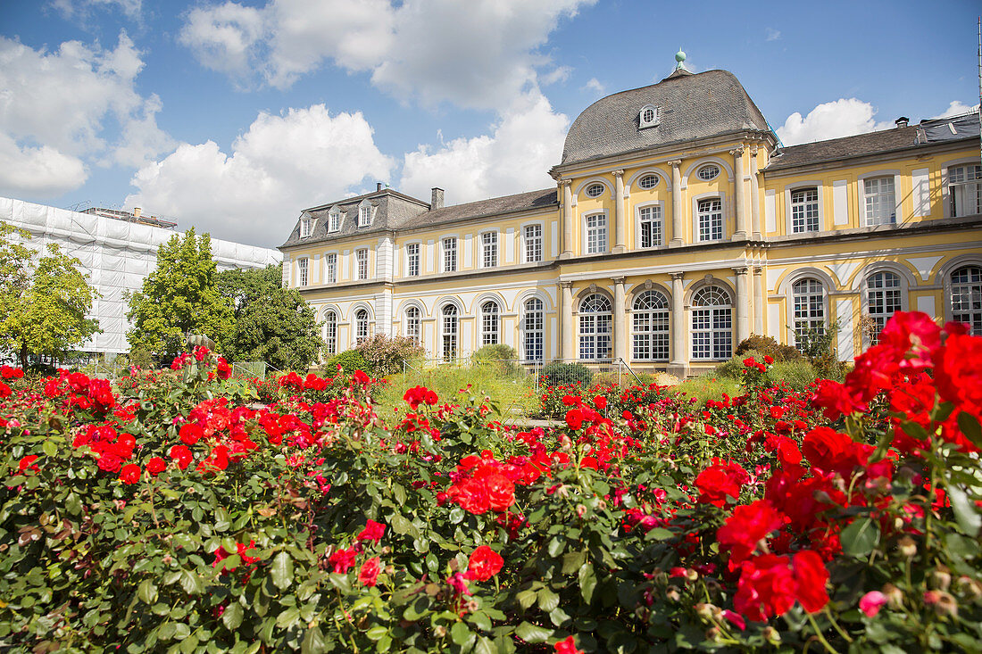 Schloss Clemensruh, Bonn-Poppelsdorf, Bonn, North Rhine Westphalia, Germany