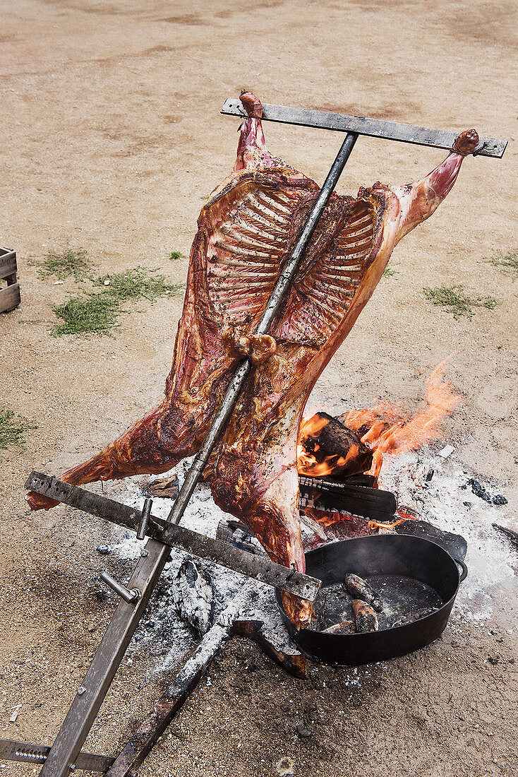 An asado course: lamb on an asado cross