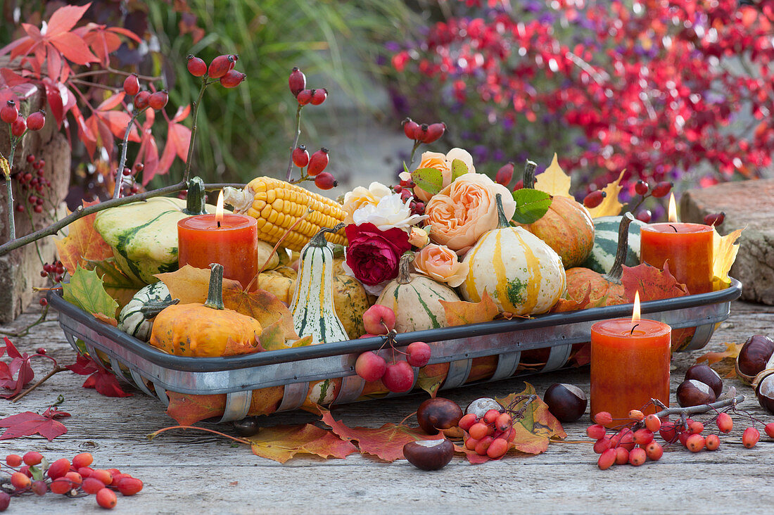 Table decoration with pumpkins, corn on the cob, rose blossoms, candles, and autumn leaves