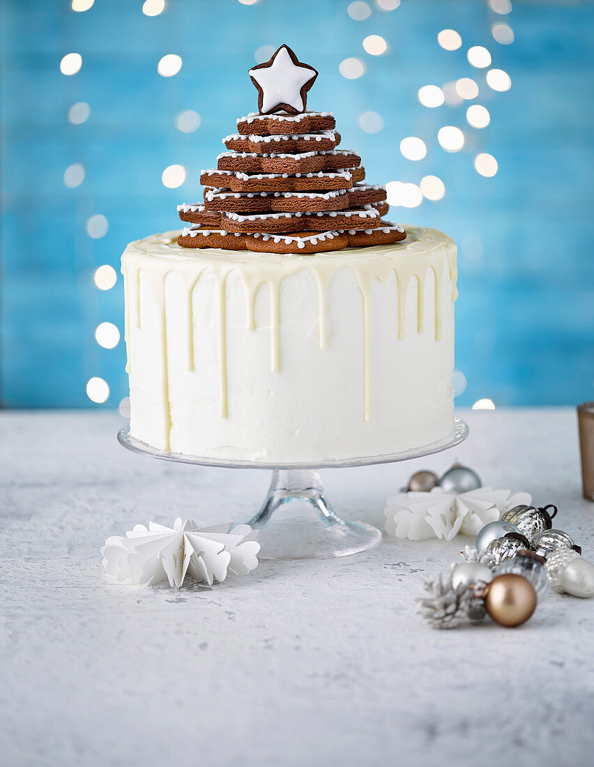 Vanilla and spice chocolate drip cake with gingerbread star tree