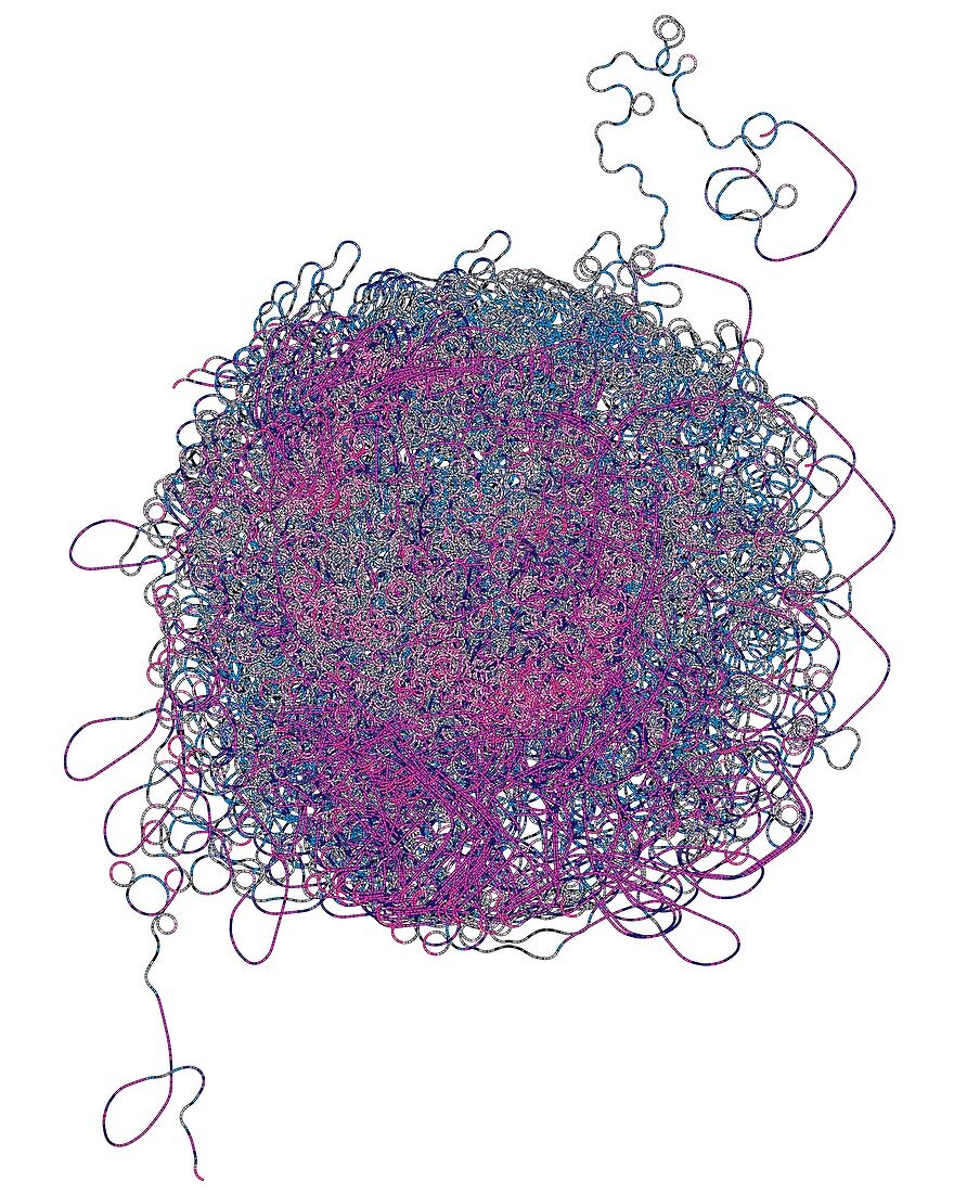 Covid-19 virus genome representations, data visualisation