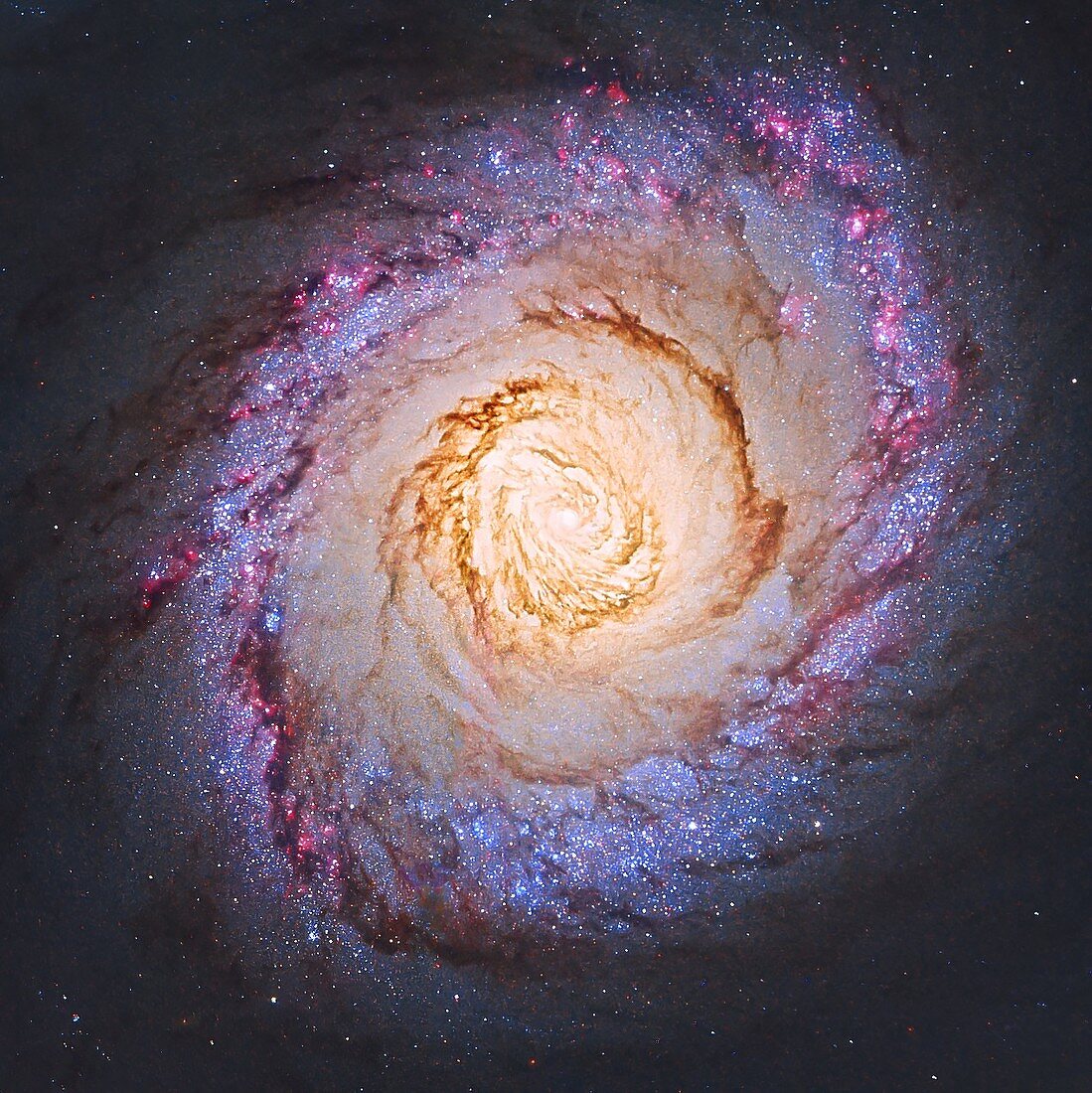 Ring of fire in M94 galaxy, Hubble Space Telescope image