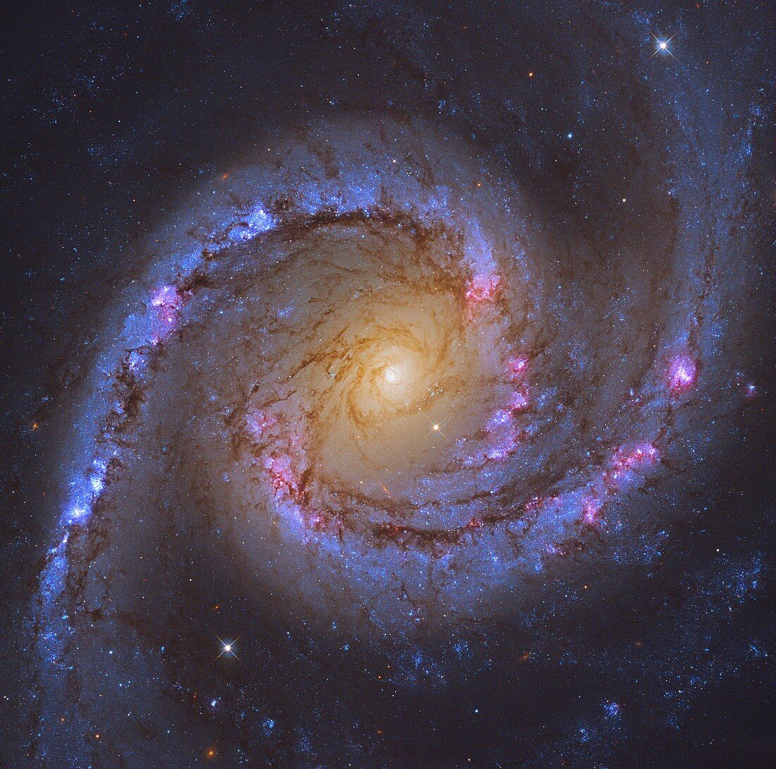 Spanish Dancer Galaxy, Hubble Space Telescope image