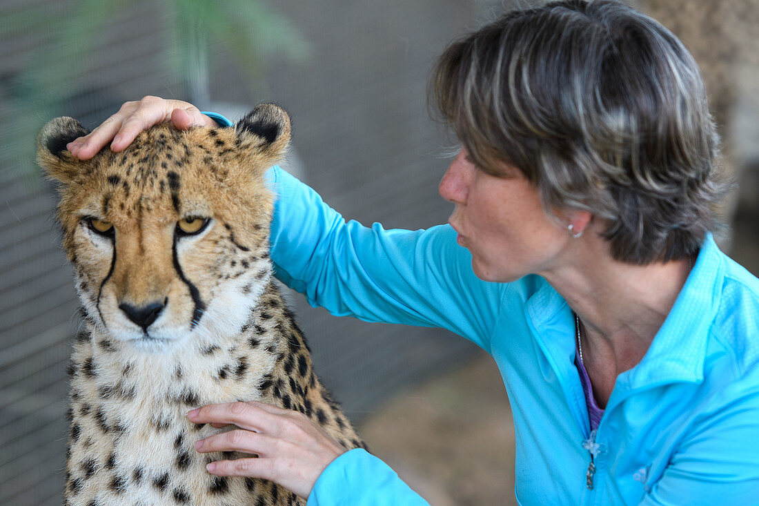 Woman posing with cheetah