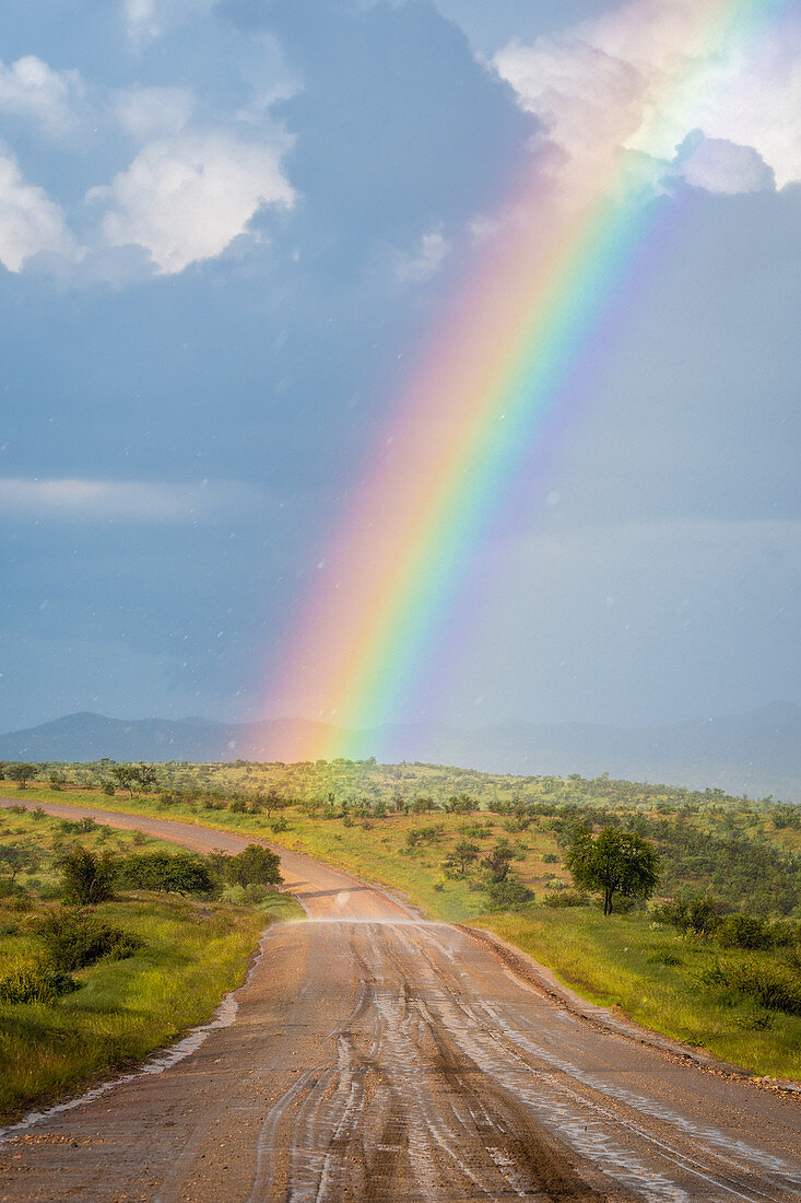 Rainbow