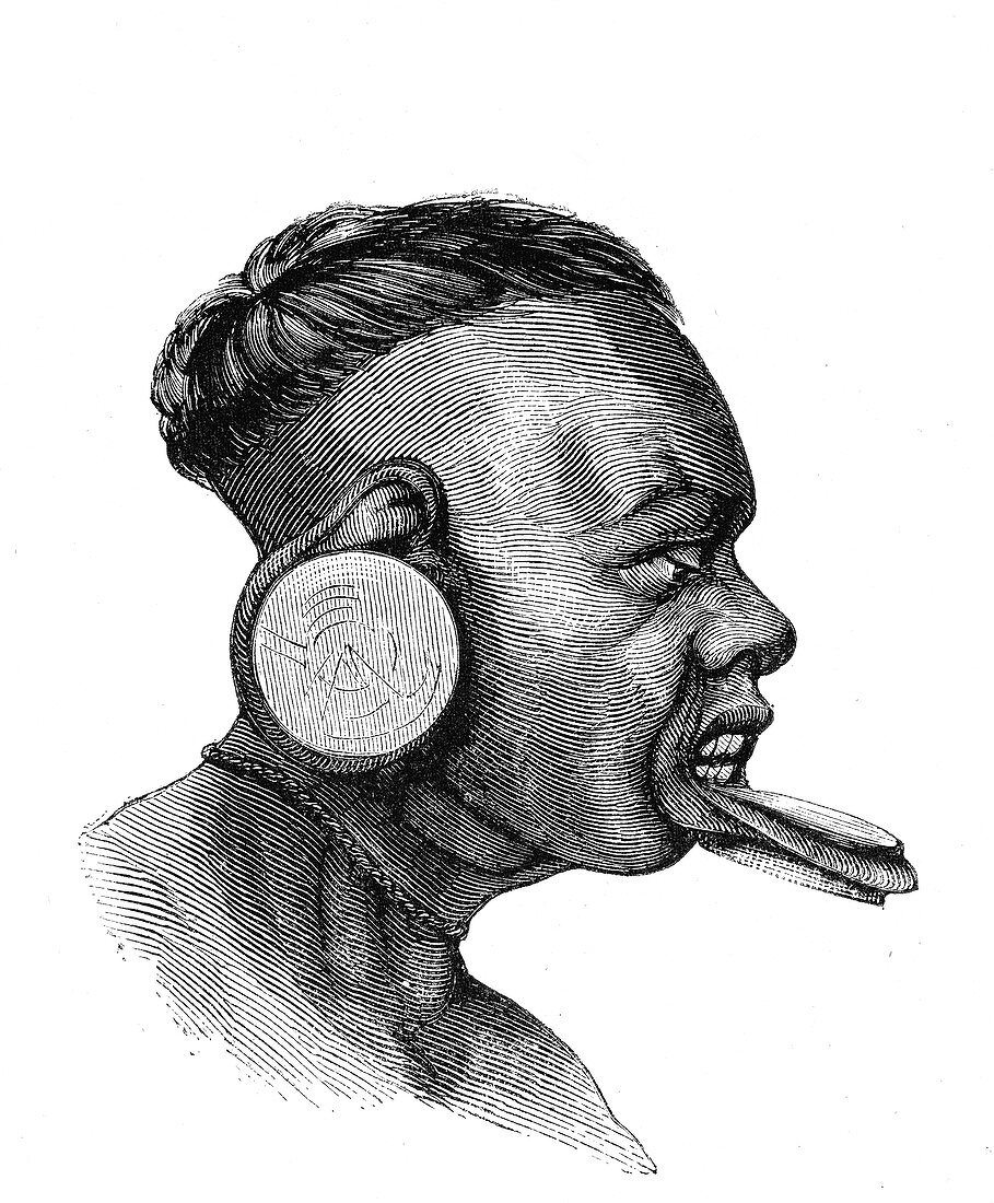 Botocudo man, 19th Century illustration
