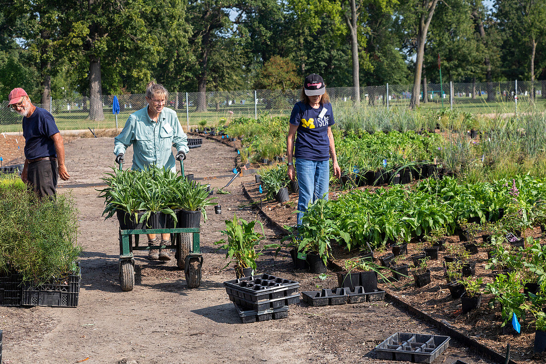 Planting public garden, Detroit, Michigan, USA