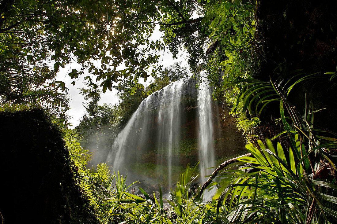 Taki Waterfalls and jungle, Palau, Micronesia