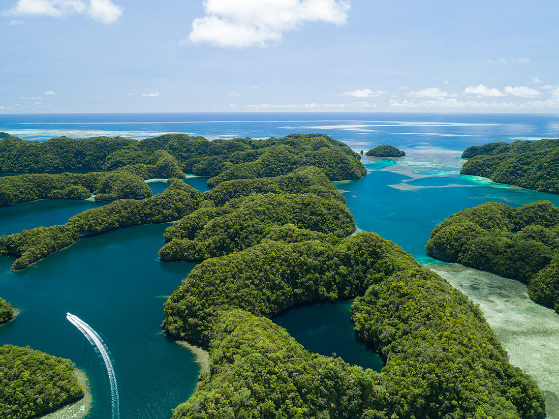 Aerial view of marine lake in Ngermid Bay, Palau