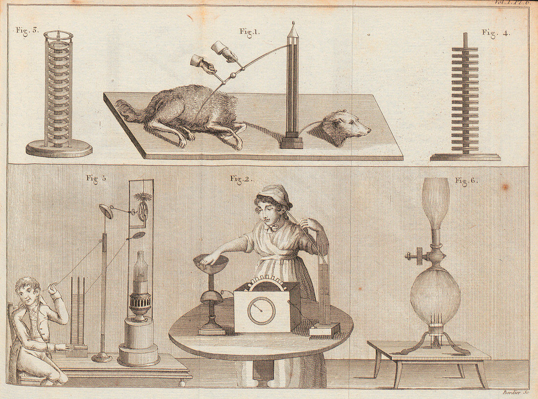 Galvani's experiments, illustration