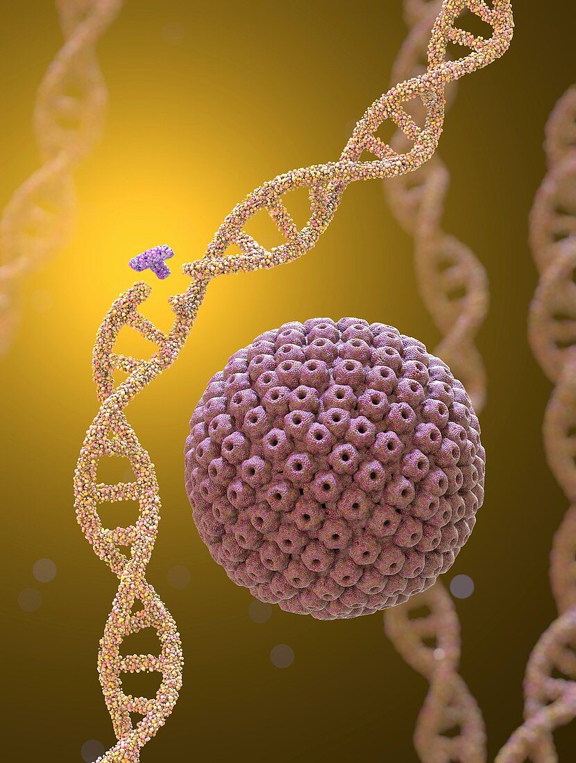 Gene editing, conceptual illustration