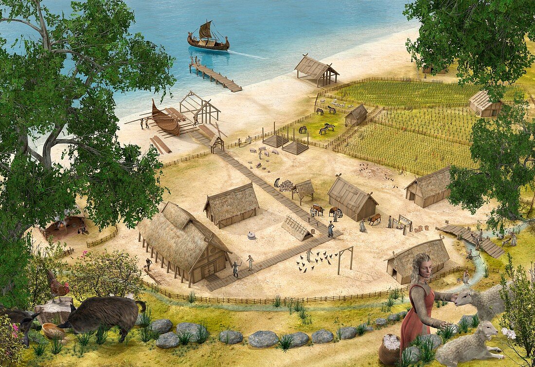 Viking village in Summer, illustration