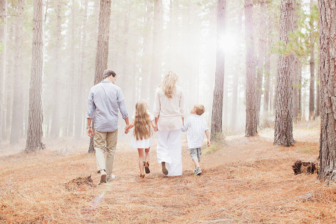 Family holding hands