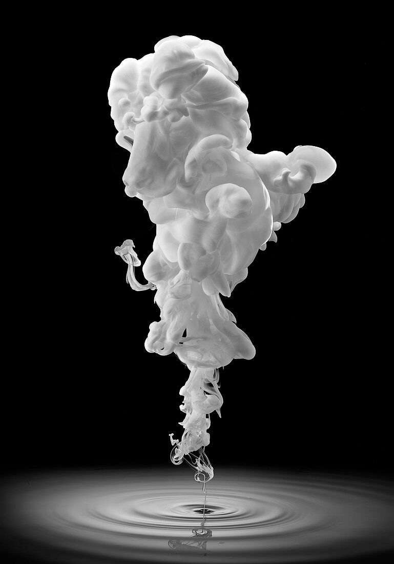 Smoke forming poodle face