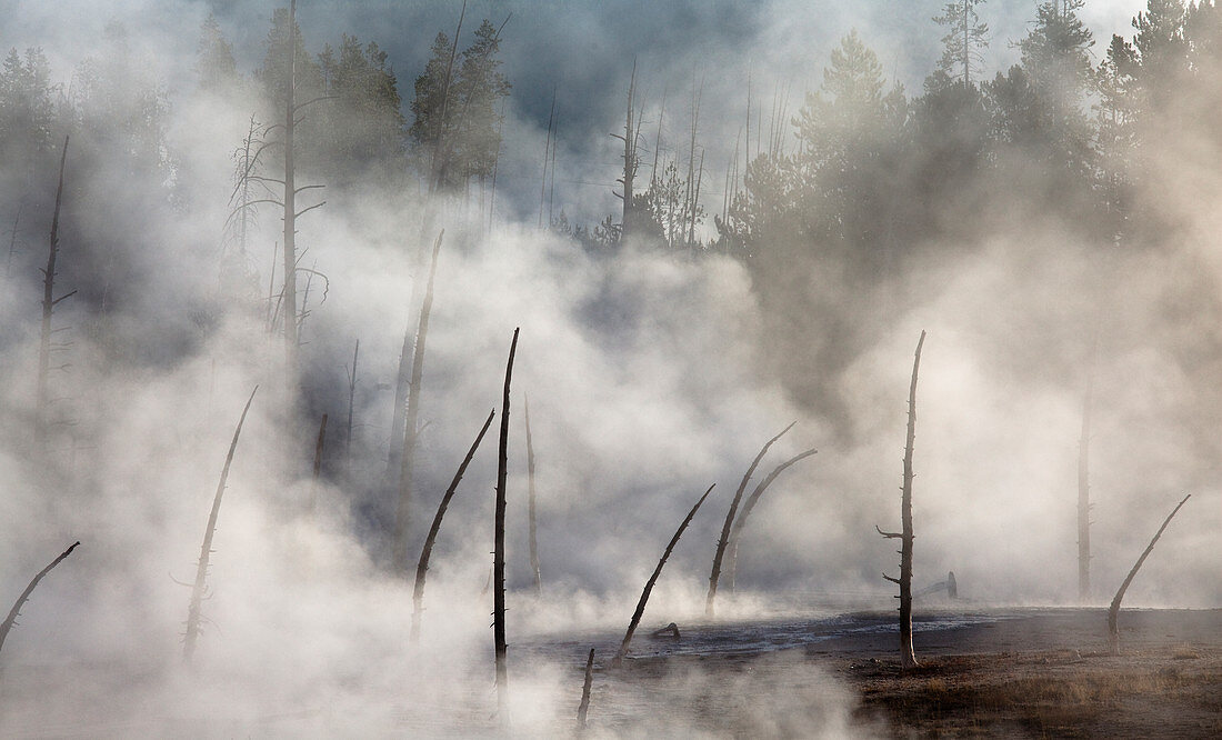 Steam rising from hot spring