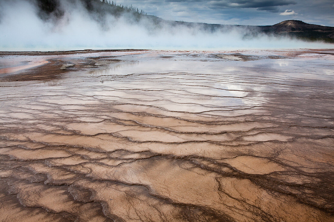 Steam rising from hot spring