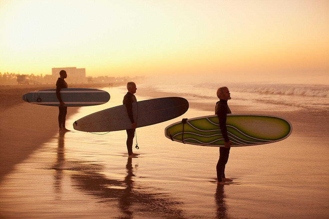 Surfers holding boards on beach
