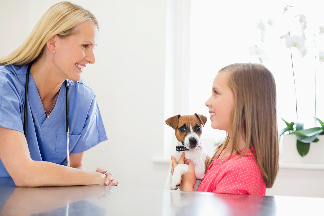 Veterinarian and owner examining dog