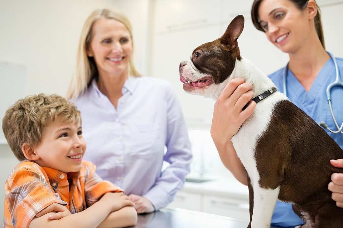 Veterinarian and owners examining dog