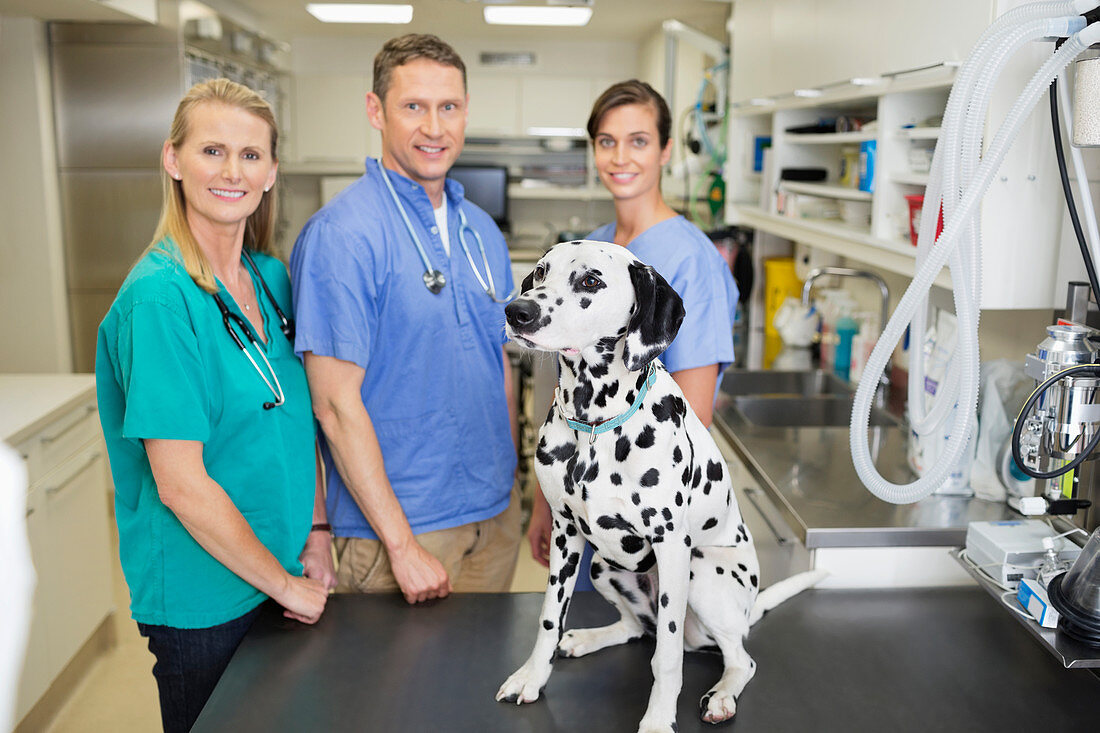 Veterinarians smiling with dog