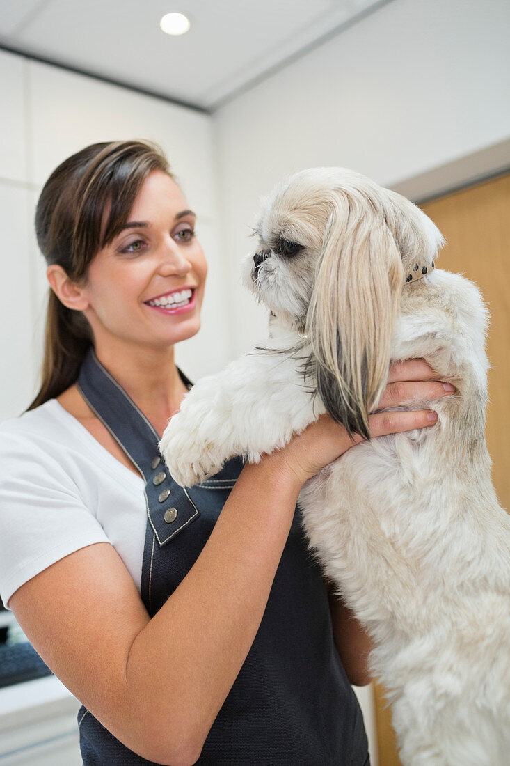 Groomer holding dog in office