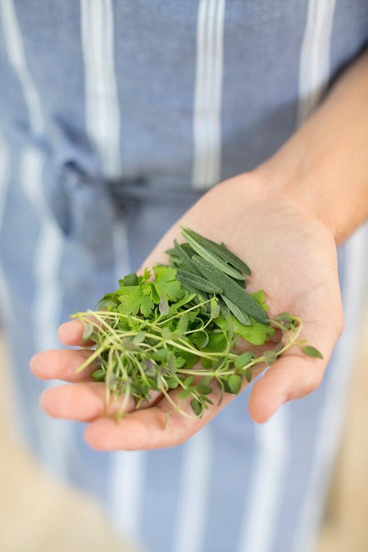 Woman holding handful of herbs