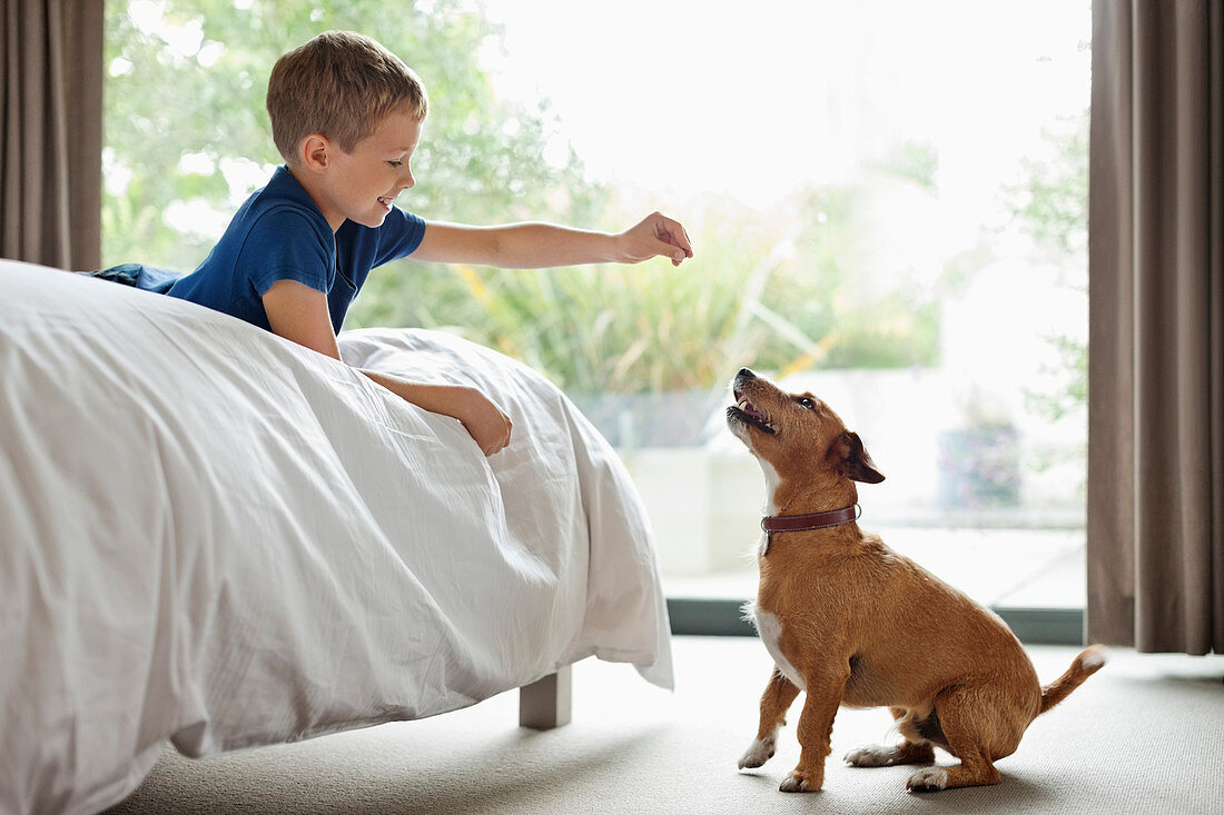 Boy giving dog treat in bedroom