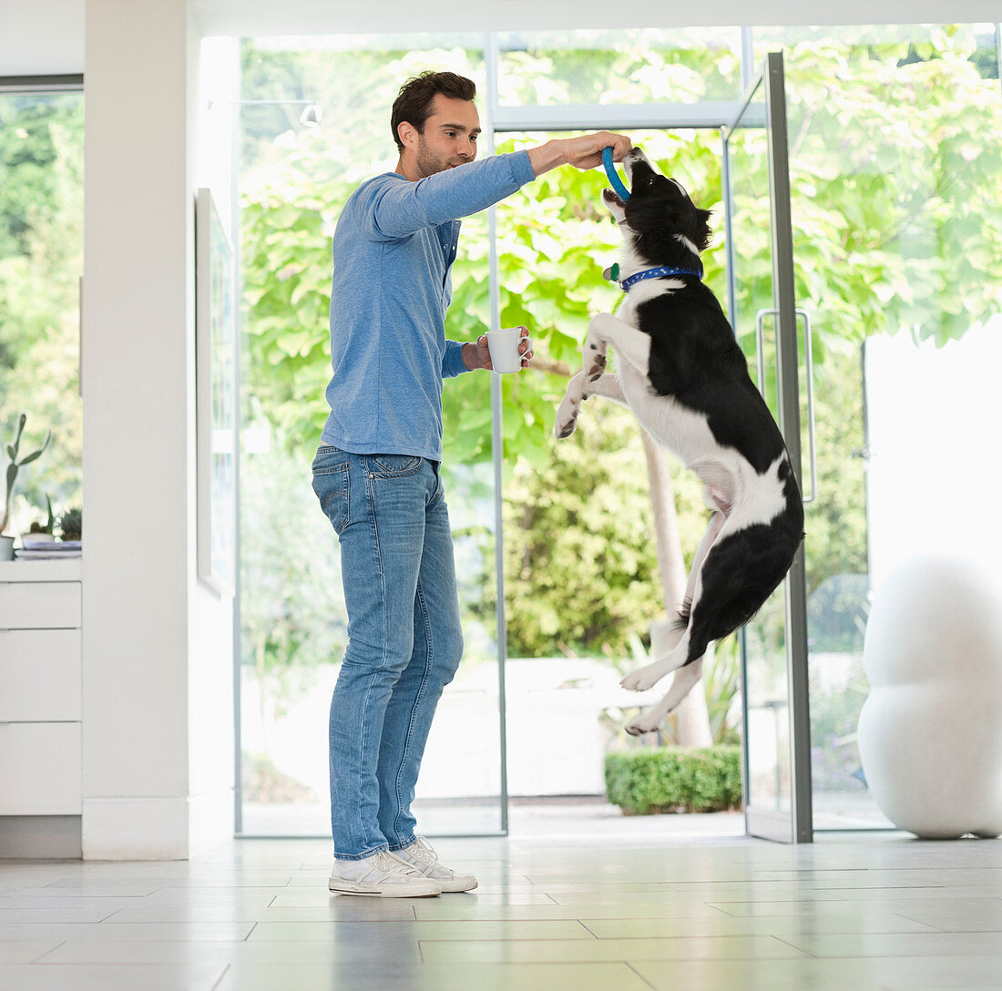 Man giving jumping dog treat in kitchen