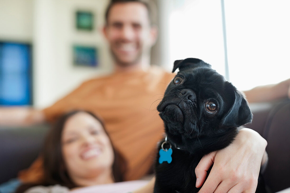 Couple relaxing with dog on sofa