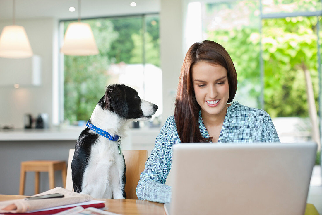 Dog watching woman use laptop