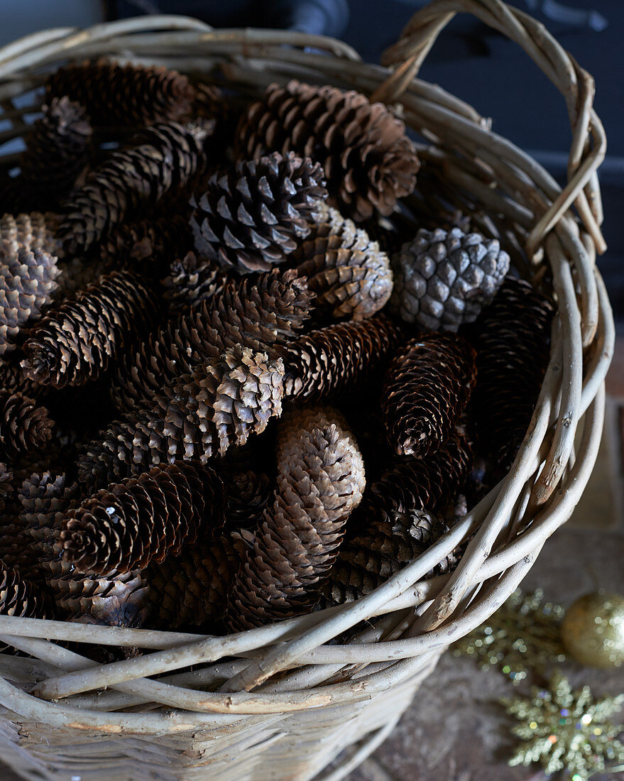 Close up of basket of pine cones