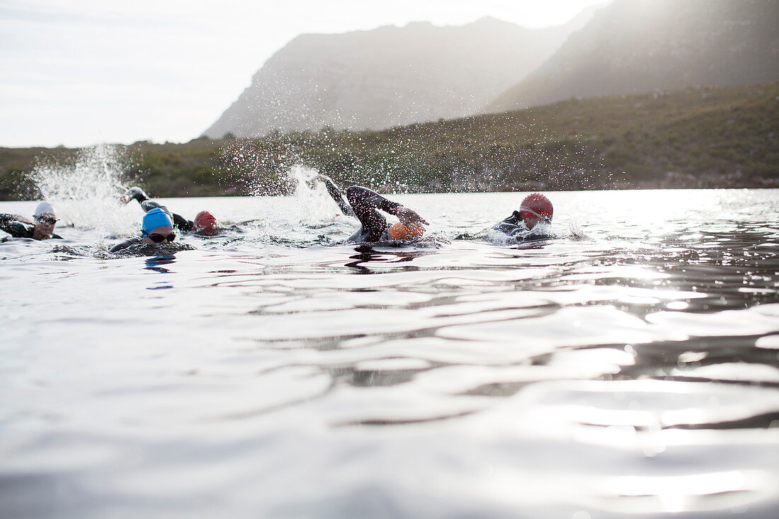 Triathletes swimming