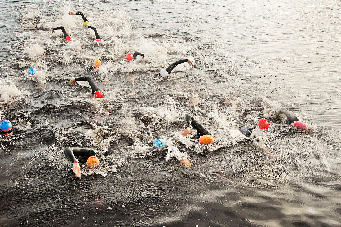 Triathletes swimming in water
