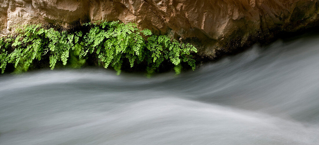 Long exposure of rushing water