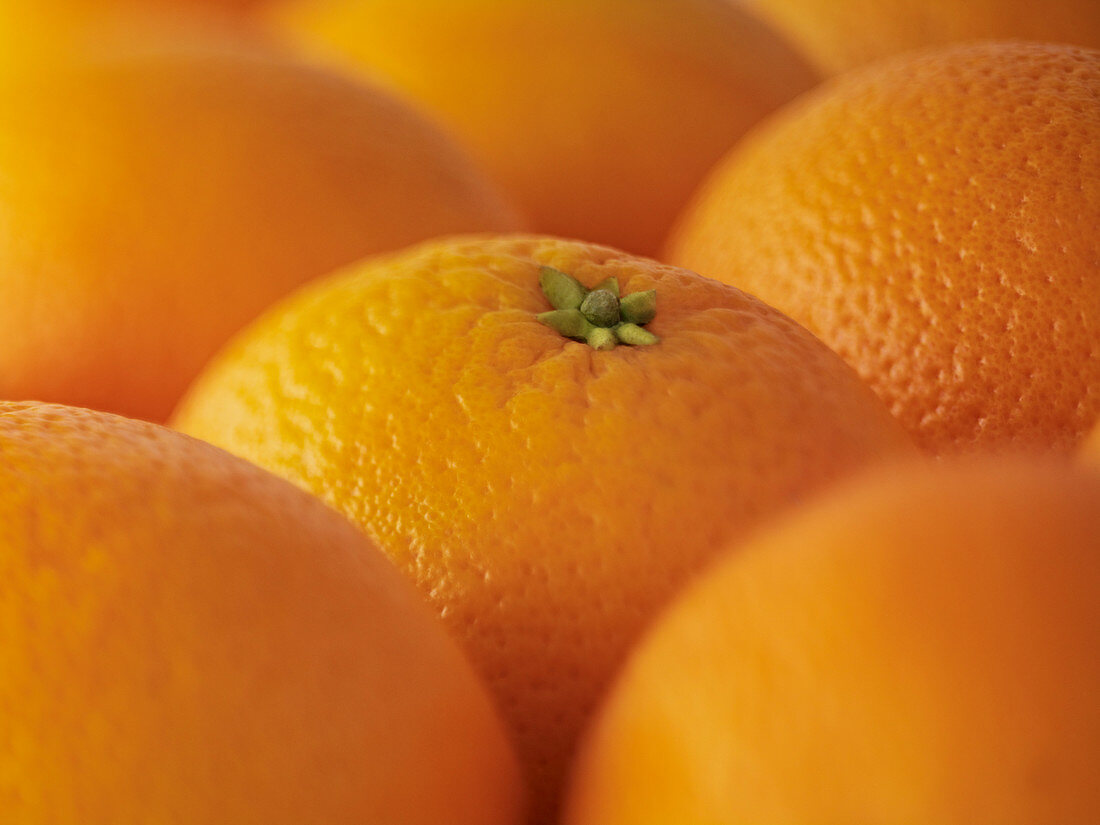 Extreme close up of oranges