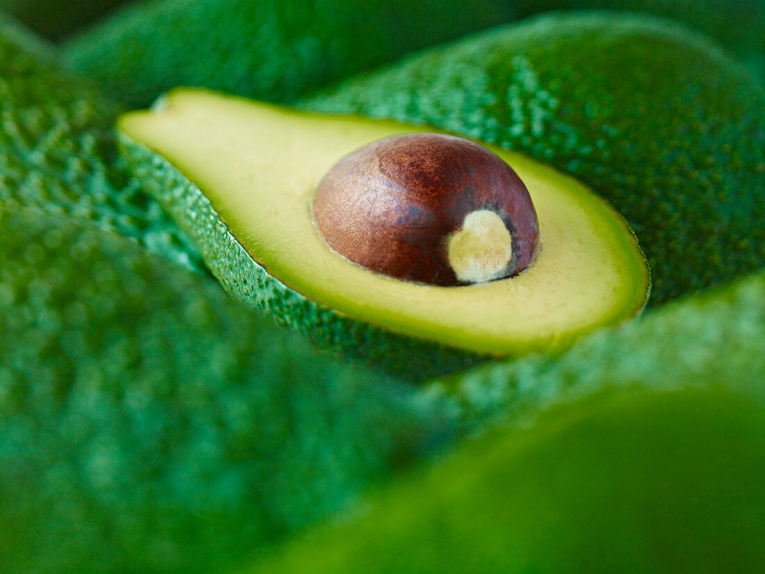 Close up of sliced Pinkerton avocado