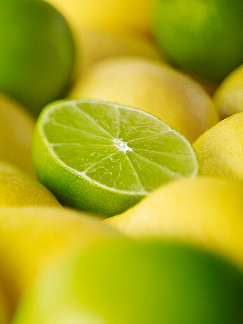 Close up of sliced lime among lemons