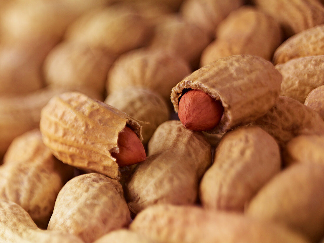 Extreme close up of peanuts in shell