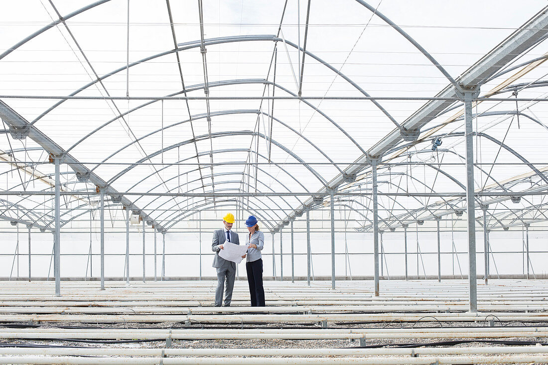 Architect and businesswoman in greenhouse