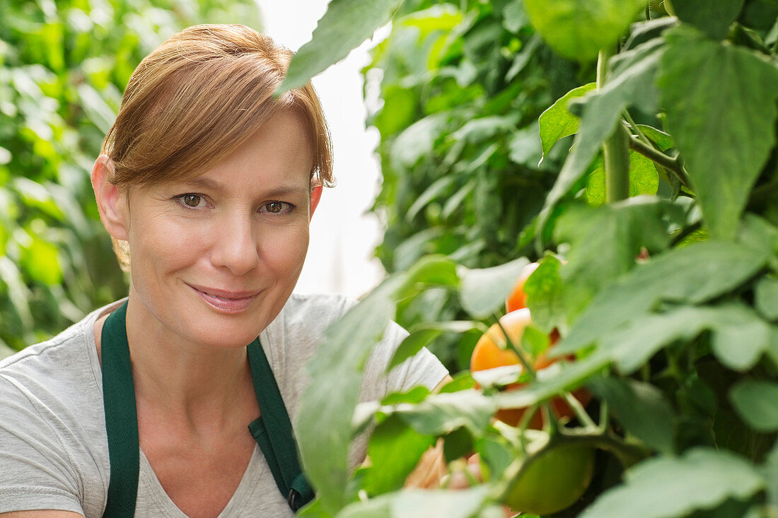 Woman next to tomato plants in greenhouse