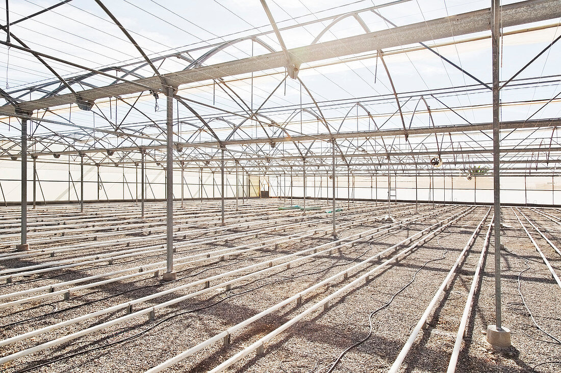 Irrigation pipes in empty greenhouse